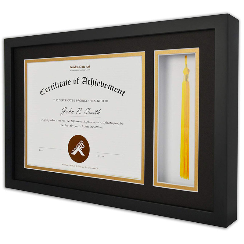 Winston Porter Rummond Diploma Tassel Shadow Box Document/Certificate